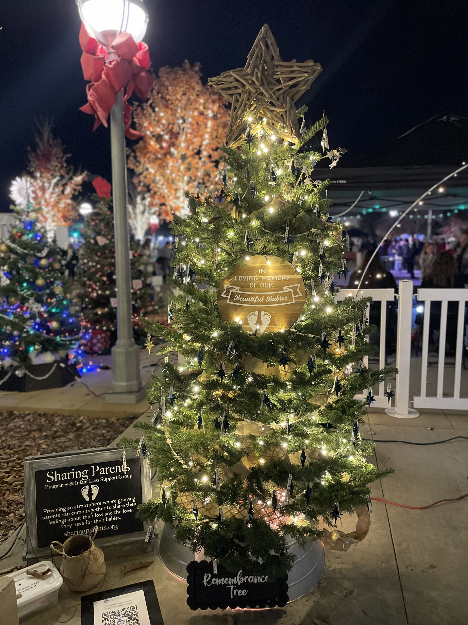 Photo of the 2025 Remembrance Tree at night with lights, stars, all the ornaments with baby names, and the Sharing Parents signs showing the website address sharingparents.org